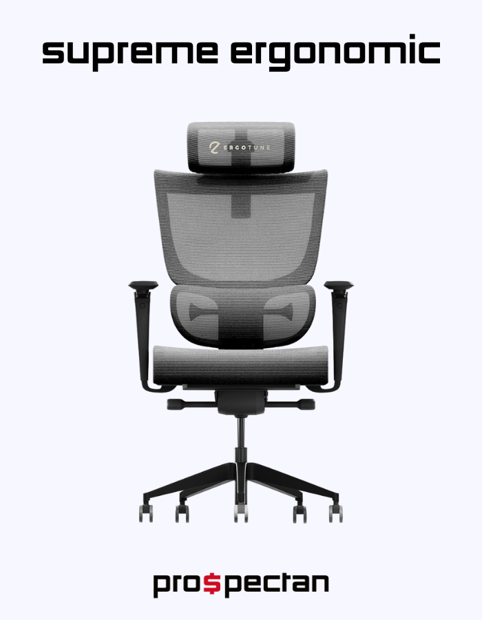 Supreme Ergonomic Office Chair