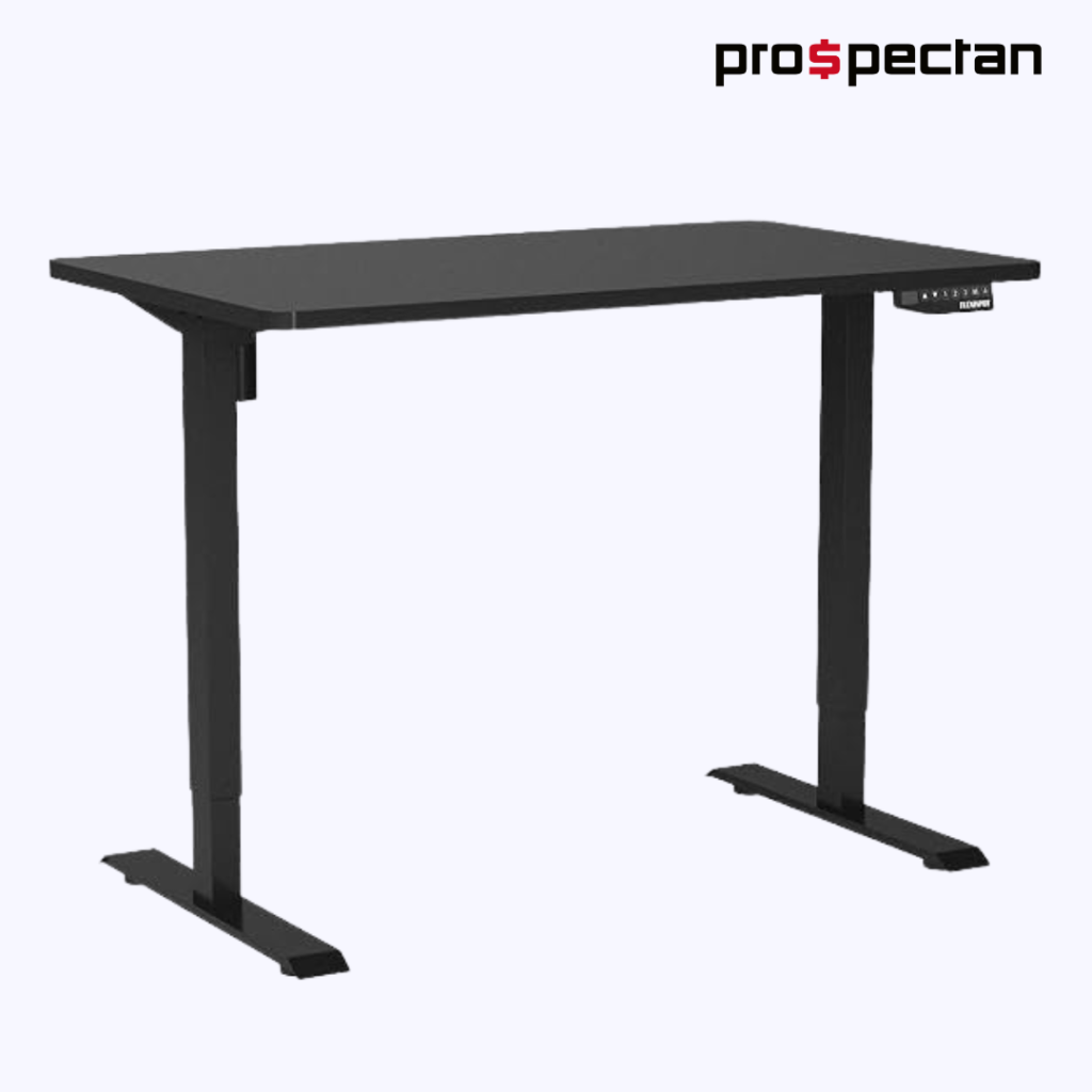 Flexispot Computer Desk